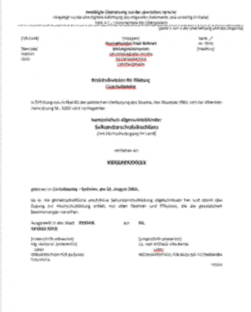 Diploma de Bachiller Bolivien