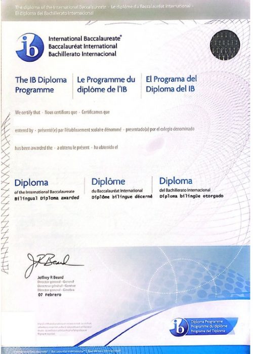 Bachillerato Internacional: El Programa del Diploma del IB