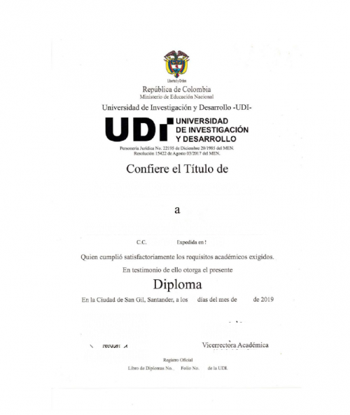 Hochschulabschluss Universidad de Investigación y Desarrollo (UDI) Kolumbien